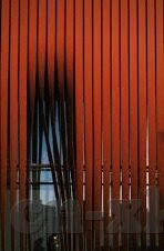 麻豆91尤物视频-麻豆91尤物视频，网络文化视角下的新奇探索