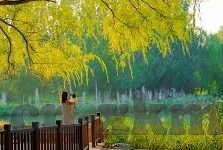 麻豆传媒映画映-麻豆传媒，映画映的视觉艺术与文化价值