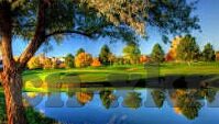 糖心vlog app-糖心Vlog App，记录生活，分享真实的瞬间