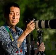 糖心vlog小桃-窥探糖心世界，小桃Vlog的温暖视角